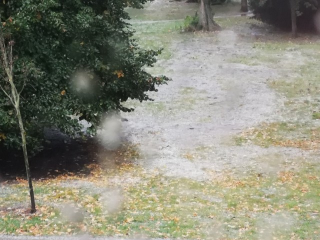 Załamanie pogody w Świnoujściu, ulewa z gradem przeszła nad miastem, na trawnikach zrobiło się biało, ulice zamieniły się w potoki.