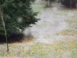 Załamanie pogody w Świnoujsciu. Biało na trawnikach 