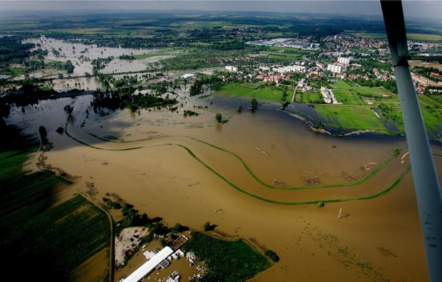 Rzeka Widawa podczas powodzi w 2010 roku. Woda z Odry wlała się wtedy na Kozanów, ale również mieszkańcy Psiego Pola obawiali się, że Widawa zaleje osiedle. Istniało takie realne zagrożenie
