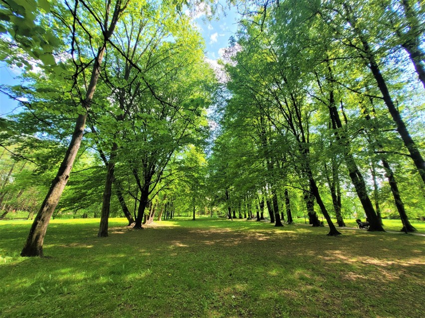 Park Kościuszki: idealne miejsce dla aktywnych