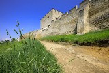 Szydłów, czyli „polskie Carcassonne". Zabytkowy zamek i... wyborne śliwki!