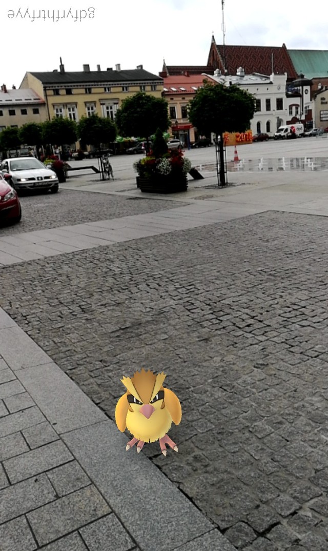 Pokemon na Rynku w Oświęcimiu