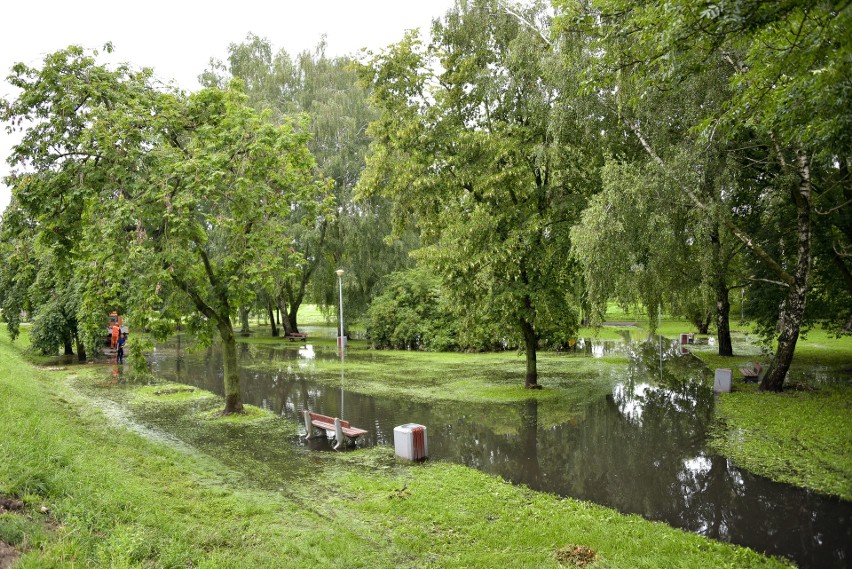 Park Antoniuk w Białymstoku do zalewania przez wodę czy dla ludzi? [ZDJĘCIA, WIDEO]