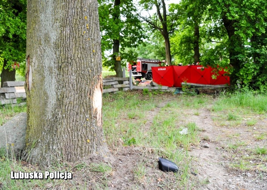 W wypadku między Górzycą, a Żabicami zginęły 3 młode osoby -...