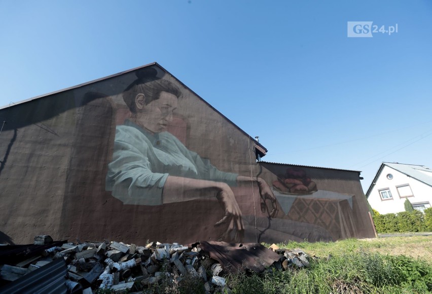 Nowy artystyczny mural w Szczecinie. Powstał na prywatnej posesji w Podjuchach