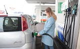 Ceny paliwa w Toruniu. Sprawdź, po ile litr benzyny! Będzie tylko drożej? LISTA + CENNIK 28 STACJI