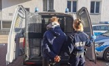 Poszukiwany listem gończym, bez prawa jazdy, za to z narkotykami. 34-latek spod Wrocławia wpadł podczas kontroli drogowej