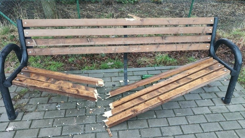 Ktoś zniszczył ławkę i drzewo