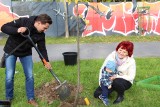 Drzewa Młodych Żaran. W drugiej edycji akcji sadzenia drzew zorganizowanej przez Urzędu Miasta i MOSRiW w Żarach, wzięły udział całe rodziny