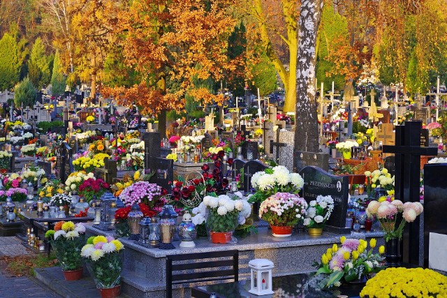 Nie ma żadnej decyzji, która ograniczałaby liczbę osób mogących pojawić się w dniu Wszystkich Świętych na cmentarzach