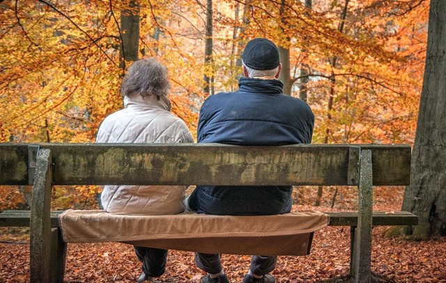 Wskaźnik waloryzacji rent i emerytur, który będzie znacznie wyższy niż przewidywano. Zgodnie z wrześniowymi założeniami rządu wskaźnik ten miał plasować się na poziomie 4,89%. Inflacja plasuje się jednak na poziomie blisko 8 proc. a to oznacza, że wpłynie również na wysokość wskaźnika waloryzacji rent i emerytur.Szczegóły i najnowsze wyliczenia na kolejnych slajdach naszej galerii.