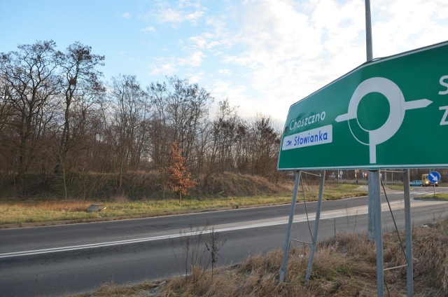 Tak dziś prezentują się działki na dawnych poligonach, które niedługo zamienią się w nowe osiedle mieszkaniowe.