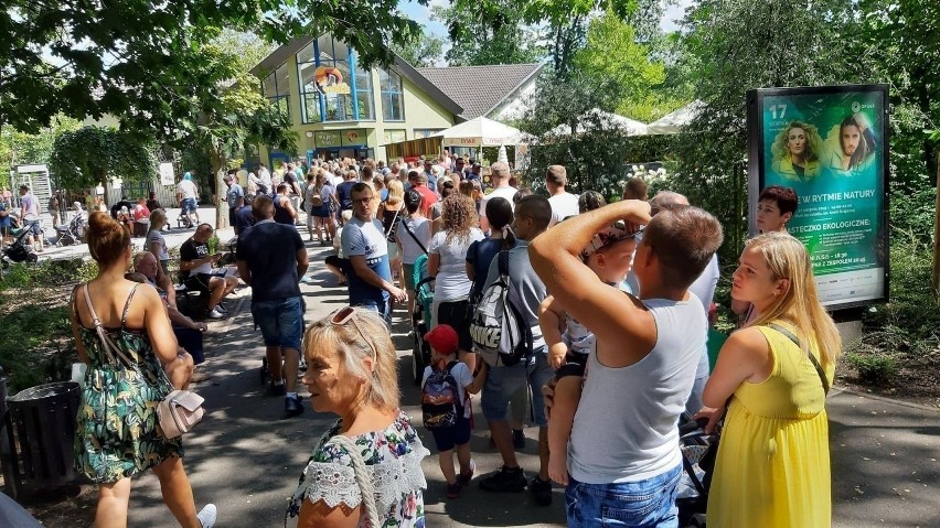 Do wejścia do opolskiego zoo potrafią tworzyć się spore...