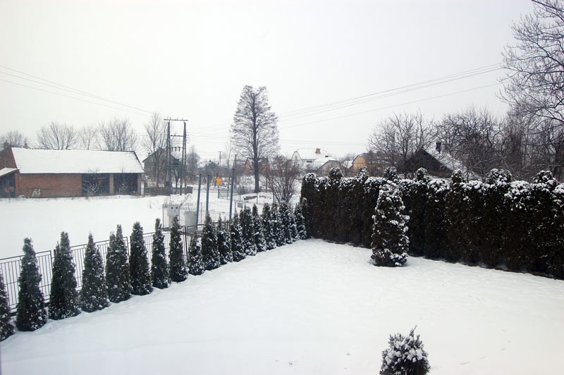 Okolice Leżajska
Zima w okolicach Leżajska.