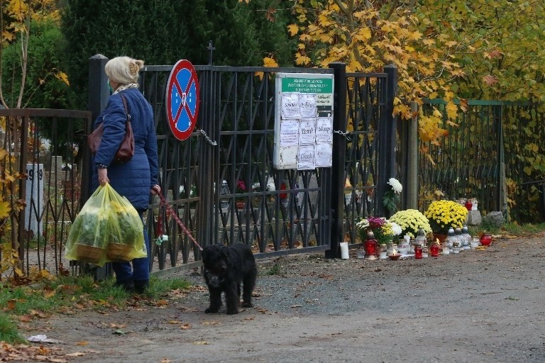 Wszystkich Świętych 2020 przy zamkniętych wrocławskich...