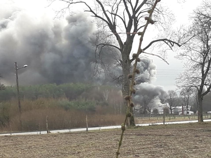 Pożar kurnika w miejscowości Darnowo [ZDJĘCIA, WIDEO]