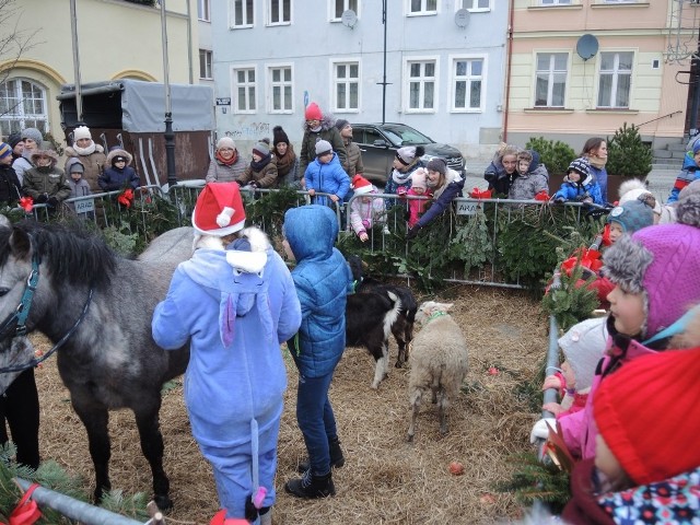 W Darłowie odbyła się 9. Darłowska Laponia Świętego Mikołaja. Tegoroczną atrakcją Mikołajek w Darłowie, ku radości dzieci były z pewnością kozy w zagrodzie. Można było zrobić sobie z nimi zdjęcie. Na rynku miejskim był także dostępny gabinet Świętego Mikołaja, który przyjechał do Darłowa z panią Mikołajową. Na scenie odbywały się liczne występy oraz rozdanie nagród Mega Pak. Ponadto w namiotach można było zakupić różnego rodzaju świąteczne stroiki. Było też coś dla podniebienia, na rozgrzanie m.in. popularny grzaniec. Zobacz także Bieg Mikołajkowy w Jarosławcu