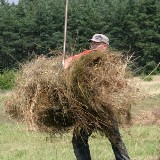 Leniwa niedziela? Nie na Woodstocku!