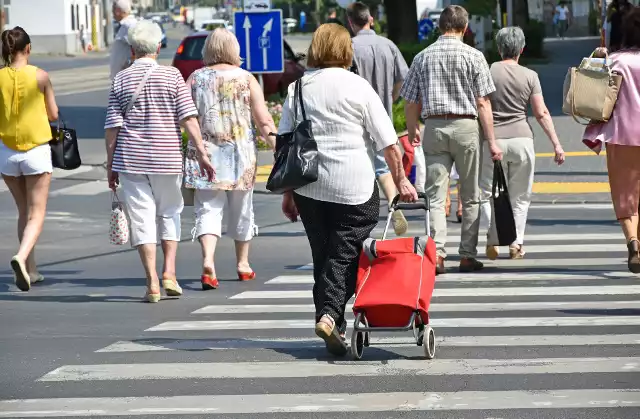 Prezentujemy listę najkrótszych nazwisk występujących w województwie podkarpackim.