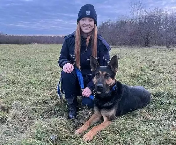 Łódzka policja przyjęła w swojej szeregi nowego psa - Nero. Dwuletni owczarek niemiecki, specjalnie wyszkolony, już od stycznia zacznie wraz  ze swoją panią sierżant Eweliną  Taratyką patrolować miasto.