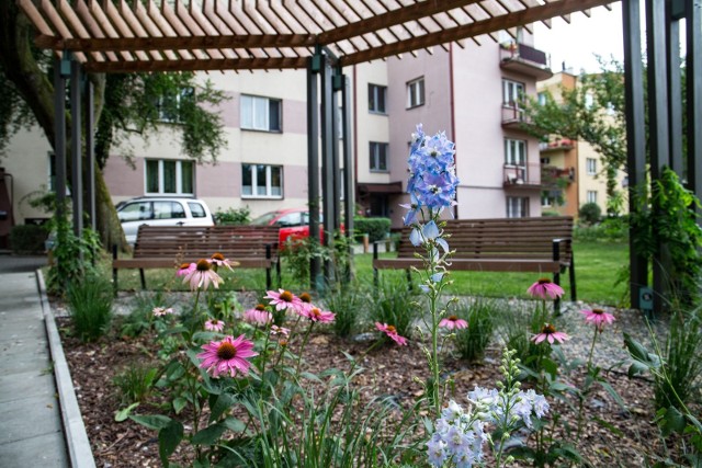Gorzowski magistrat zachęca mieszkańców do tworzenia ogrodów społecznych.