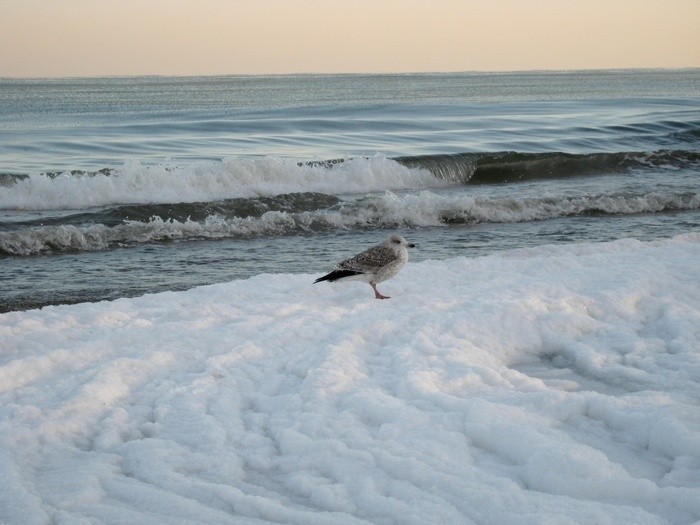 Zima na plaży w Kołobrzegu