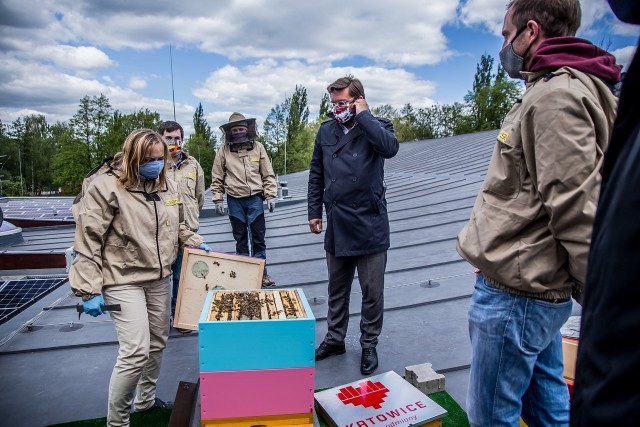 Trzy nowe ule w Katowicach zostały zamontowane we wtorek, 12 maja, na dachach basenów w Brynowie i Burowcu oraz na machu NOSPR w Strefie Kultury.