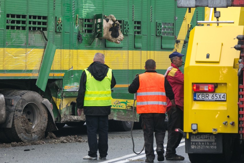 Wypadek w Bochni na DK 94. Nie żyją dwie osoby [ZDJĘCIA, WIDEO]