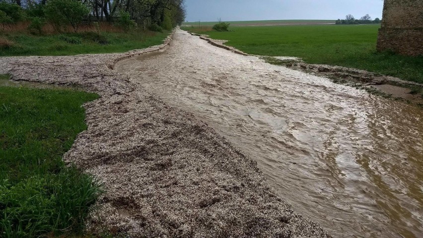 W rejonie Kalinowa pod Strzelcami Opolskimi opady gradu i...