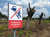 Śmiertelne potrącenie przez pociąg ŁKA na Dąbrowie. Nie żyje mężczyzna