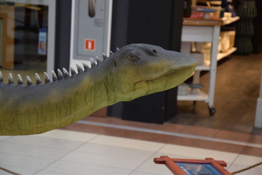 Dinozaury śmieszą i straszą w Galerii Jurajskiej