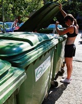 Chaos śmieciowy na Śląsku: brakuje pojemników na odpady