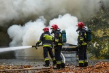 Pożar na Siedleckiej w Bydgoszczy. Ktoś podpalił stertę śmieci. Ogień gasiły dwa zastępy straży pożarnej