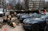 Wichura we Wrocławiu i regionie. Powalone drzewa, przewrócone ciężarówki, zerwane dachy [FILMY, ZDJĘCIA]