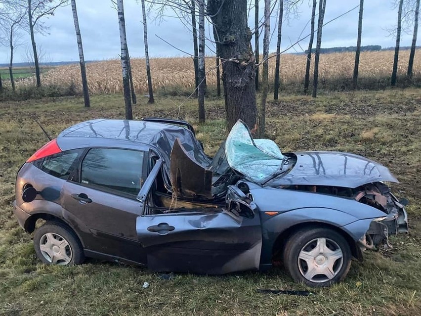 Kolonia Boćki. Wypadek na DK 19. Ford uderzył w drzewo, jedna osoba trafiła do szpitala [ZDJĘCIA]