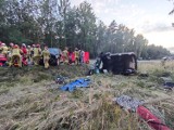 Czołowe zderzenie samochodów po uderzeniu w jelenia między gminami Śmigiel i Włoszakowice