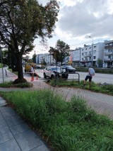 Wypadek na ulicy Orłowskiej w Gdyni. Samochód osobowy uderzył w słup