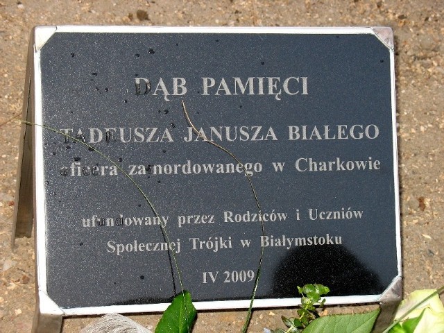 Tadeusz Biały został zamordowany w Charkowie.