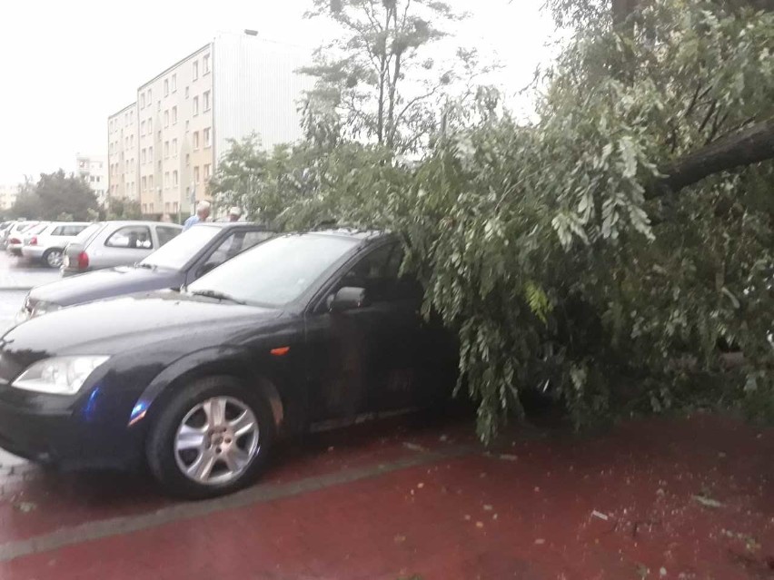 Potężna burza nad północnym Podkarpaciem. Zobacz jakie poczyniła zniszczenia [ZDJĘCIA]