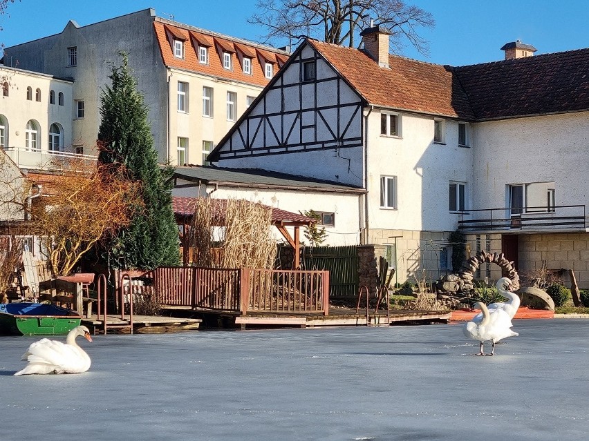 Piękny, ciepły i słoneczny weekend wyciągnął ludzi z domów....