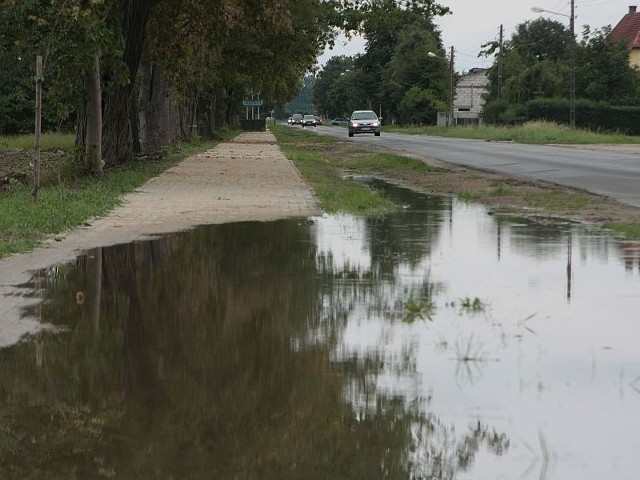 Po deszczach nowa ścieżka zamienia się w bajoro.