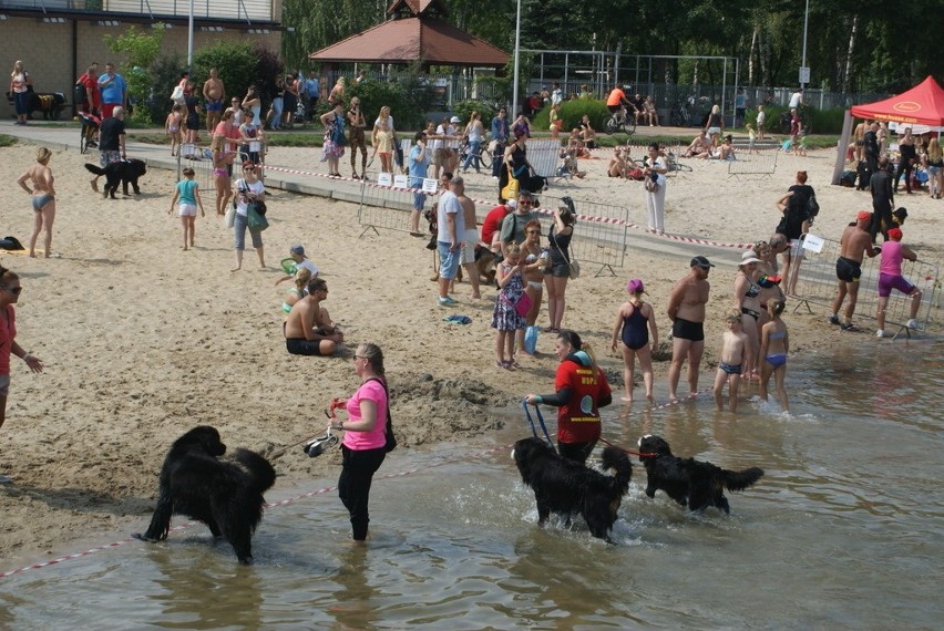 W sobotę nie brakowało chętnych do plażowania nad Pogorią...