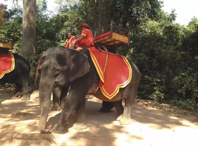 Przejażdżka na słoniu to jedna z głównych atrakcji turystycznych w Indonezji.