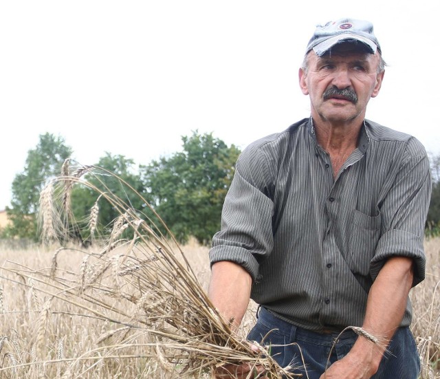 - W tym roku zbiory na pewno będą gorsze &#8211; mówi Jan Wasiak, rolnik ze Starej Woli Gołębiowskiej.