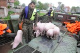 Na razie są pieniądze, ale tylko na usuwanie skutków powodzi w Bierawie. Na wały przeciwpowodziowe brakuje