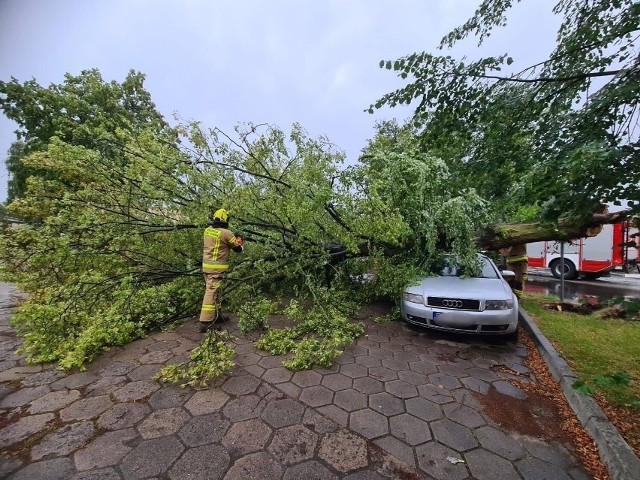 Drzewo runęło na samochód koło Leszna na przykościelnym parkingu