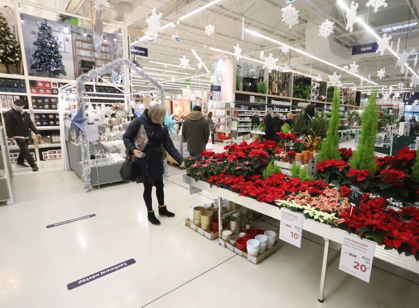 Radomianie korzystają z handlowej niedzieli i robią przedświąteczne zakupy w Leroy Merlin - zobacz zdjęcia