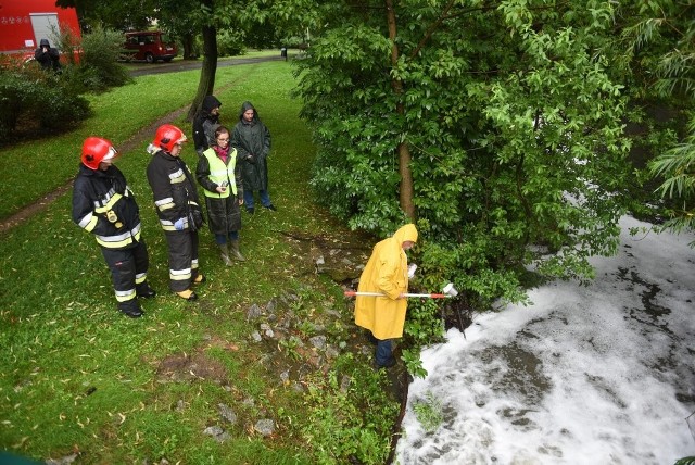 Park Sołacki: Nieprzyjemny odór i piana na wodzie. Bogdanka zatruta?