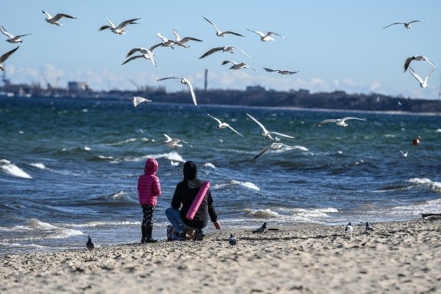 Akcja Spacer dla Bałtyku na celu ograniczenie ilości śmieci na bałtyckich plażach poprzez edukację i uwrażliwienie na tę kwestię