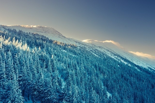 - Zanim zapragniemy zdobycia Babiej Góry zimą, warto zdobyć...